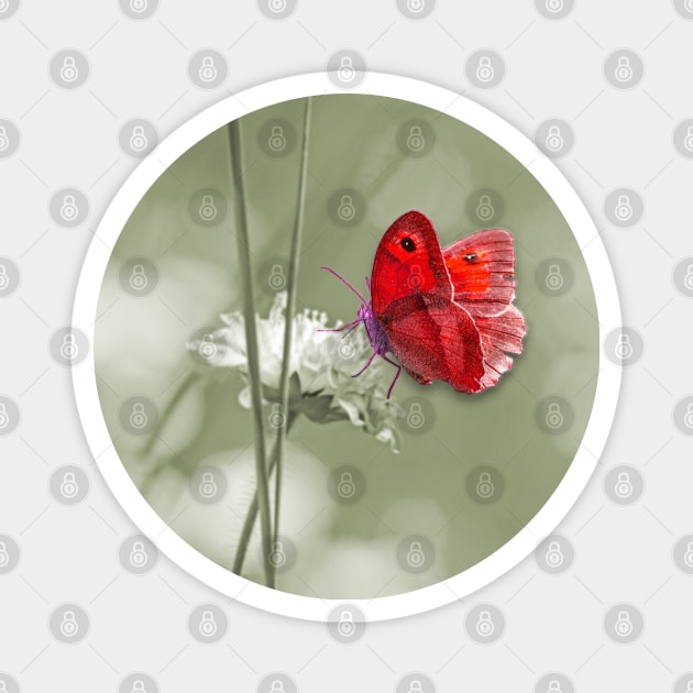 Red butterfly Magnet by Sinmara